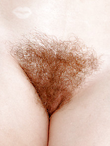 Best Hairy Pussy's 1
