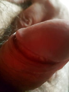 My Little,  Little Penis