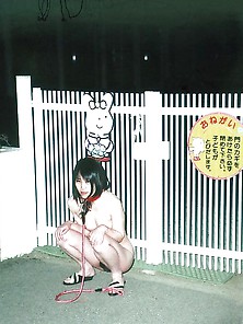 Japanese Amateur Outdoor 498