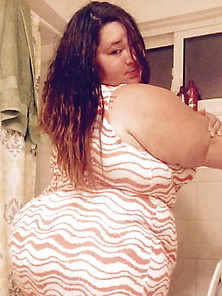 My New Favorite Ssbbw