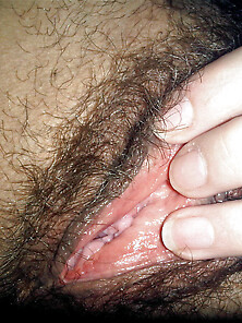 Hairy Pussy 2