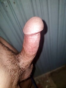 My Mushroom Dick