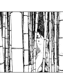 The World Of Apollonia Saintclair