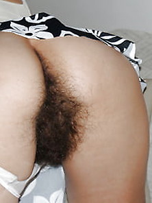 Hairy Pussy 004