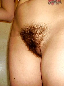 Hairy Beaver Is Ready