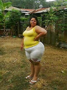 Bbw Fat Brazil