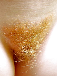 Hairy Redhead Ashley - Garden Bridge