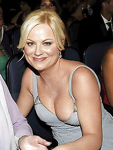 Amy Poehler