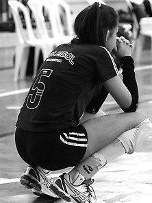 Voleybaal Various 10