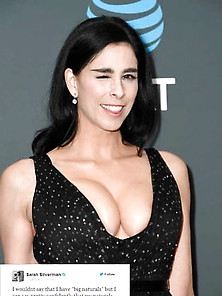 Favs - Sarah Silverman