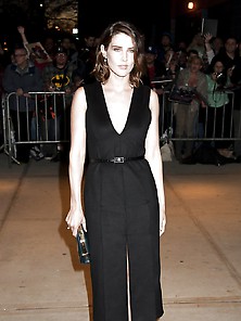 Cobie Smulders Movie Premiere