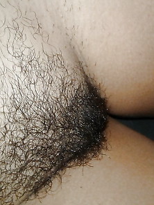 Hairy Pussy