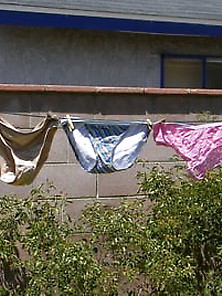 Aunt's Clothesline