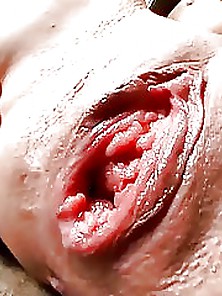Big Pussy Close-Up
