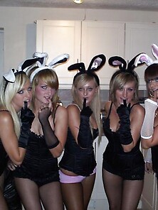 Bunny Party