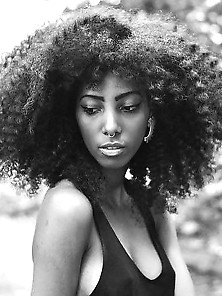 Black Beauties Vol. 64